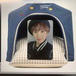 [NCT즌] 내가 김정우강아지 확실히 <b>입증</b>해줌ㄹㅇㅇㅇ