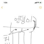 플레시크 압박스타킹 신는 사람 도와줘ㅠㅠ