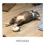 [드루와] 아 상대방한테 <b>내</b> <b>카톡</b>프사 안보이게 할라면