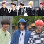 빅히트 바보