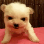 <b>자바</b>머거