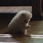 진짜 그남들은 걍 모순밖에 안보임ㅋㅋㅋ