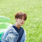 [모두드루와] 내가 보려고 만든 <b>호시</b> 짤털이