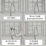 [19] +)가슴은 ㄹㅇ 크기<<<<<<<<<모양임