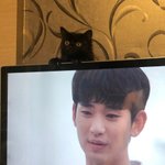 김수현 머리위에 고양이 | 메이플 <b>인벤</b>
