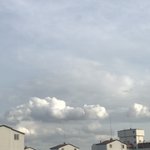 와 날씨너무좋아진짜로 <b>냄새</b>대박