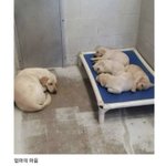 맴이 때<b>수</b><b>워</b>지는 짤 하나 뿌리고 감,,
