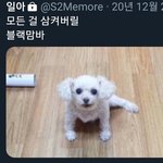 [댓글부탁해] 애들이코로나땜에 술집못간다해놓고 <b>지들</b>끼리 감 ㅅㅂ 조카..