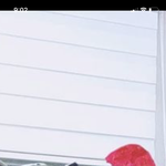 [빅톤] <b>저</b> <b>모자</b> 훔치러 갈 사람