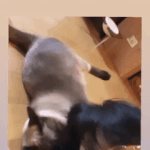 [NCT즌] 아 루이 텐 머리 발로 차는거 봐ㅋㅋㅋㅋㅋㅋㅋㅋ