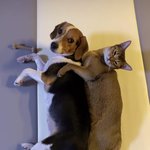 [NCT] 야야 쟤좀 봐봐