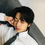 한 떨기 꽃 같은 남돌