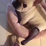 10대판 정떨어져서 <b>사담</b>도 엔터에 하고싶어
