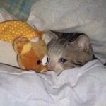 [19] 나 솔직히 예쁜 <b>년들</b> 보면 화나