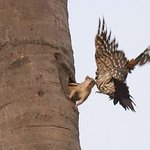 [ㅈㄱㄴ] 살면서 명품 하나라도 맬수잇을까 ㅋㅋ