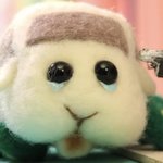 [댓글부탁해] <b>미세</b> 구순열 수술 망한듯