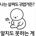 [댓글부탁해] 귓구멍작은덕 <b>에어</b>팟뭐사는게 좋을까?