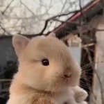 [댓글부탁해] 김승리쌤듣는애들아