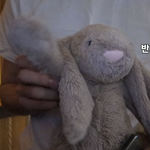 [NCT] ㅅㄷ <b>토끼인형</b> ㅋㅋㅌㅋㅋㅋㅋ