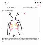 [드루와] 나 오늘 겨드랑이랑 <b>인중</b> 레이저함