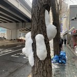 [19] 근데 경구피임약 있자나