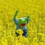[댓글부탁해] 너희 <b>향수</b>나 바디미스트 뭐 쓰는지 적고가주라!