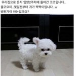 [댓글부탁해] 니네 키 몇이야