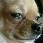 [댓글부탁해] 제발 <b>gs</b>편의점 조합 추천좀ㅠㅠㅠ