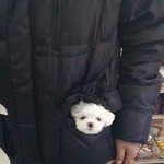 99%<b>확률</b>로 귀짤