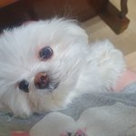 [19] 19 남 <b>얼</b><b>평</b>좀 인스타 맞팔 ㄱ