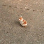 <b>estp</b> 궁금한거 물어바