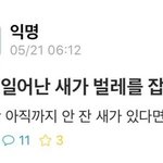 [19] 아 ㅈㄴ털뽑는습관