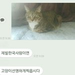와 나 요즘 얼굴 <b>젖살</b> 엄청 빠짐
