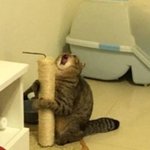 [댓글부탁해] 아직도 앓는 첫사랑 인스타 팔로 추반