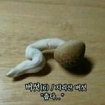 나 방금 조카 신기한거 알아냈어 ㅁㅊ