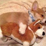 나도 성 <b>특이</b>하고 싶다