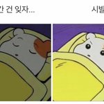 [19] 가슴 작은데 남친있는애들 들어와봐