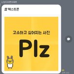 대체 이건 <b>무슨</b> <b>사진</b>임