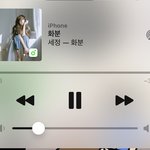 나 ㄹㅇ 머 키울까