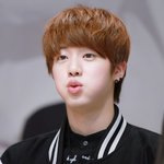 내 최애나 보고가