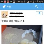 [드루와] 이런 사진 올린 애는 암만봐도 찐같음