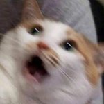 [19] 디<b>루도</b>삼ㅎㅎ