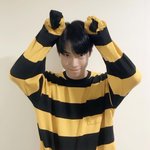 [NCT즌] <b>꿀벌</b>도영