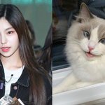 덕질이 제일 행복행 <b>아해</b>아행아해애애애