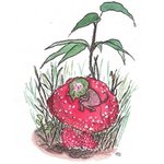 상상력 자극! <b>동화</b> 같은 그림