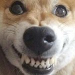 [NCT즌] 애들 연차가 있는데 이제 성적에 <b>연연</b>하기보다는 즐기면서...