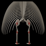 [진격의거인] 시조거인 개쩌는거 발견함