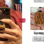 셔누 그립톡 곰돌이의 <b>일생</b>ㅋㅋㅋㅋㅋㅋㅋㅋㅋㅋ