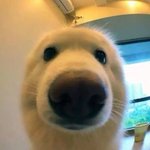 [NCT즌] 우리 <b>내</b>가가장좋아하는짤<b>님</b>