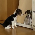 [NCT즌] 우리 난중국못보내흑흑<b>님</b>
